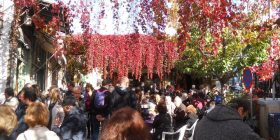 23456582_2043665202546145_6603053825402640412_o